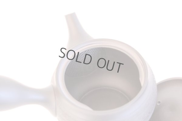 Photo7: Tokoname yaki ware Japanese tea pot Shujyu sen ceramic tea strainer 280ml