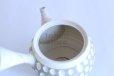 Photo6: Tokoname ware Japanese tea pot kyusu ceramic strainer YT Kenji usumidori 360ml