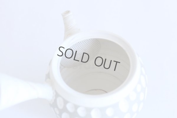 Photo6: Tokoname ware Japanese tea pot kyusu ceramic strainer YT Kenji usumidori 360ml