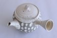 Photo5: Tokoname ware Japanese tea pot kyusu ceramic strainer YT Kenji usumidori 360ml
