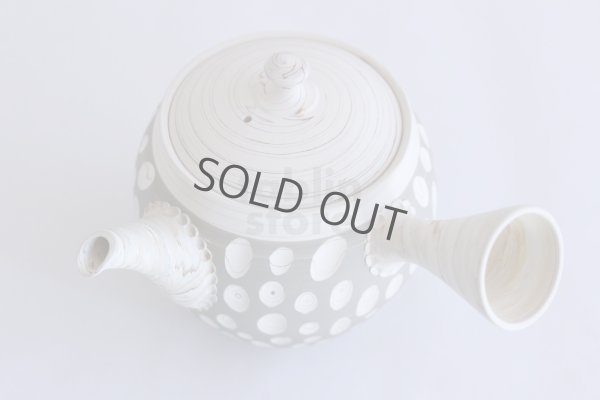 Photo5: Tokoname ware Japanese tea pot kyusu ceramic strainer YT Kenji usumidori 360ml