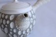 Photo11: Tokoname ware Japanese tea pot kyusu ceramic strainer YT Kenji usumidori 360ml