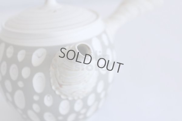 Photo11: Tokoname ware Japanese tea pot kyusu ceramic strainer YT Kenji usumidori 360ml