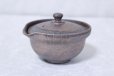 Photo3: Shigaraki pottery Japanese tea pot kyusu Hohin shiboridashi ginryo 120ml