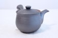 Photo5: Arita porcelain Black glaze sendan Japanese tea pot 375ml