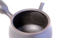 Photo7: Tokoname ware Japanese tea pot kyusu ceramic strainer YT Hokuryu biridashi 360ml