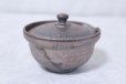 Photo5: Shigaraki pottery Japanese tea pot kyusu Hohin shiboridashi ginryo 120ml