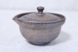 Photo10: Shigaraki pottery Japanese tea pot kyusu Hohin shiboridashi ginryo 120ml