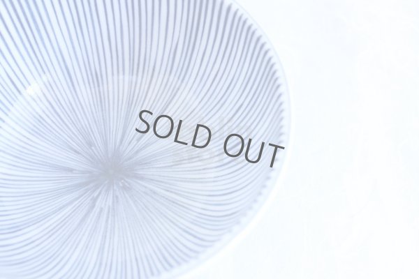 Photo8: Japanese Rice Soup Noodle bowl Mino ware Togusa line blue D146mm H74mm