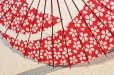 Photo6: Japanese umbrella bull's-eye Bangasa Wagasa bamboo arabesque design sakura red