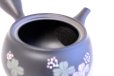 Photo6: Tokoname yaki ware Japanese tea pot Shujyu lf ceramic tea strainear 280ml