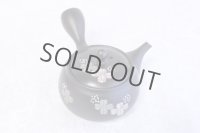 Tokoname yaki ware Japanese tea pot Shujyu lf ceramic tea strainear 280ml