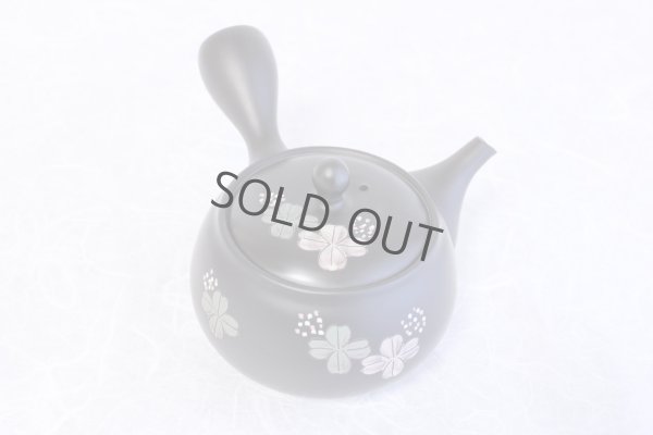 Photo1: Tokoname yaki ware Japanese tea pot Shujyu lf ceramic tea strainear 280ml