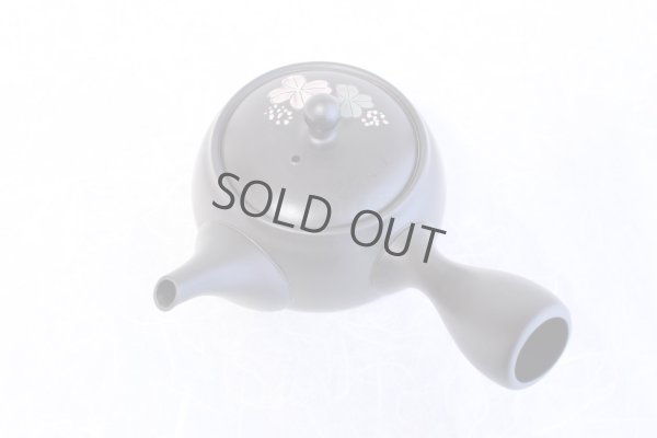 Photo5: Tokoname yaki ware Japanese tea pot Shujyu lf ceramic tea strainear 280ml