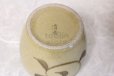 Photo7: Arita porcelain Tea Caddy Japanese tea container karakusa H10.5cm