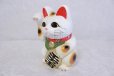 Photo7: Japanese Lucky Cat Tokoname ware YT Porcelain Maneki Neko koban right hand H19cm