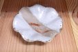 Photo1: Bizen ware pottery bowl white glaze hana hidasuki Tomoyuki Oiwa (1)