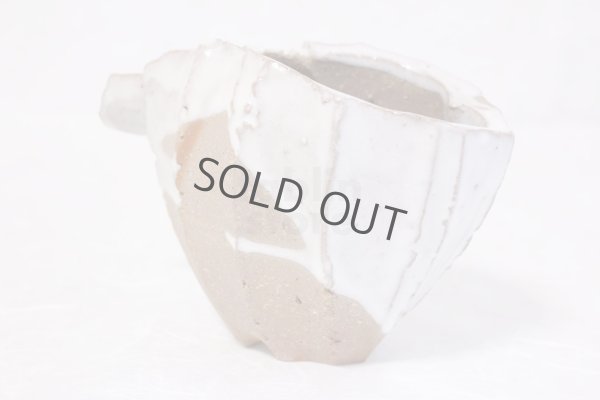 Photo12: Bizen ware pottery Sake bottle reishu white glaze Tomoyuki Oiwa 250ml