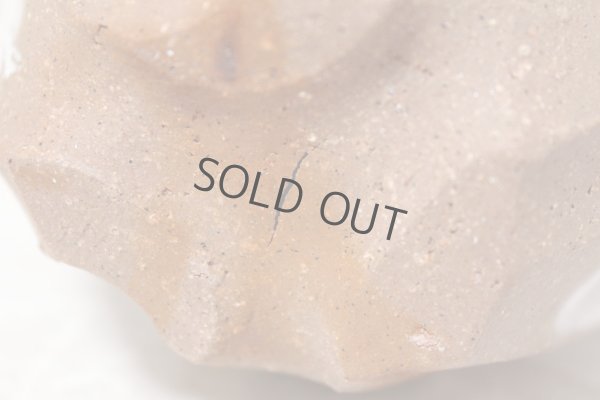 Photo11: Bizen ware pottery Sake bottle reishu white glaze Tomoyuki Oiwa 250ml