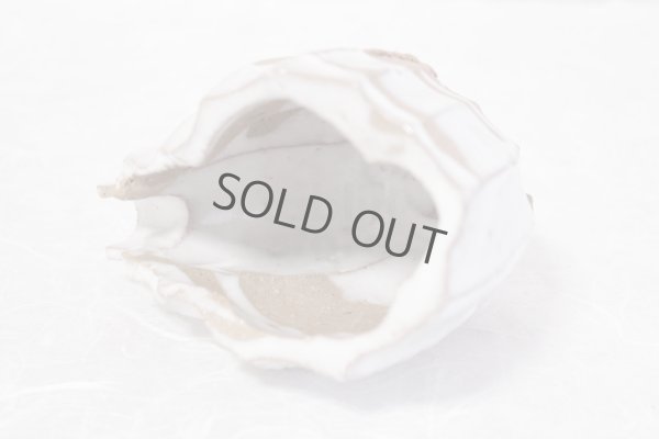 Photo9: Bizen ware pottery Sake bottle reishu white glaze Tomoyuki Oiwa 250ml