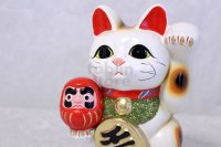 Japanese Lucky Cat Tokoname ware YT Maneki Neko Daruma left hand H19cm