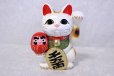 Photo2: Japanese Lucky Cat Tokoname ware YT Maneki Neko Daruma left hand H19cm (2)