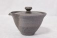 Photo3: Shigaraki pottery Japanese tea pot kyusu Hohin shiboridashi ibushi 150ml