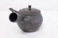 Photo3: Tokoname ware Japanese tea pot kyusu ceramic strainer YT Sekiryu tochiri 300ml