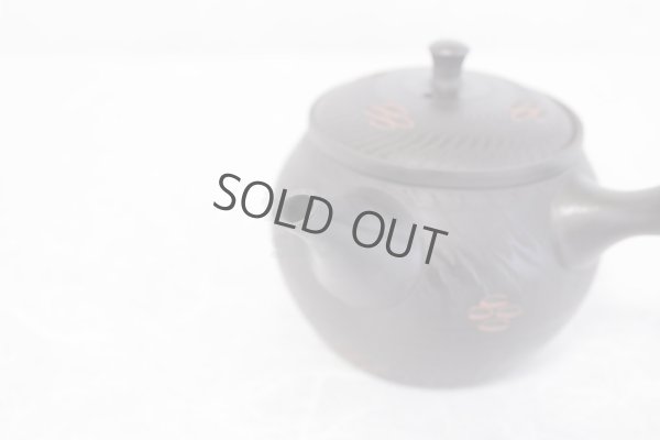 Photo5: Tokoname ware Japanese tea pot kyusu ceramic strainer YT Sekiryu tochiri 300ml