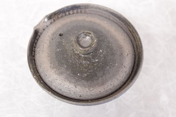 Photo6: Shigaraki pottery Japanese tea pot kyusu Hohin shiboridashi ibushi 150ml