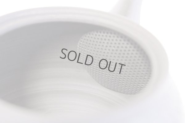 Photo10: Tokoname ware Japanese tea pot kyusu ceramic strainer YT Sekiryu tochiri 300ml