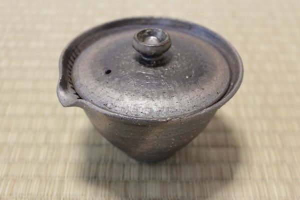Photo2: Shigaraki pottery Japanese tea pot kyusu Hohin shiboridashi ibushi 150ml