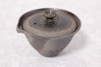 Photo1: Shigaraki pottery Japanese tea pot kyusu Hohin shiboridashi ibushi 150ml (1)