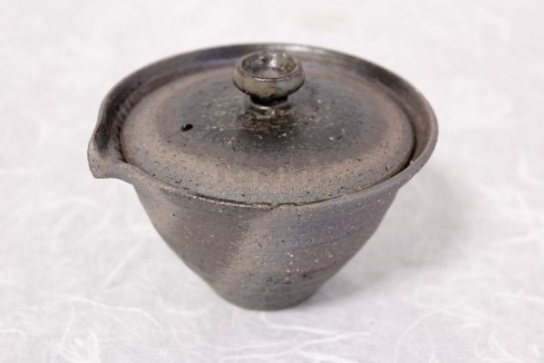 Photo1: Shigaraki pottery Japanese tea pot kyusu Hohin shiboridashi ibushi 150ml