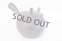 Tokoname ware Japanese tea pot kyusu ceramic strainer YT Sekiryu tochiri 300ml