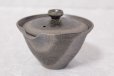 Photo4: Shigaraki pottery Japanese tea pot kyusu Hohin shiboridashi ibushi 150ml