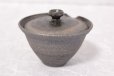Photo10: Shigaraki pottery Japanese tea pot kyusu Hohin shiboridashi ibushi 150ml