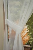 Photo3: Noren CSMO Japanese door curtain Green garden 85 x 150cm