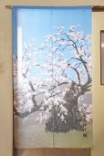 Photo1: Noren CSMO Japanese door curtain Yamatakajindaizakura 85 x 150cm (1)