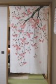 Photo1: Noren CSMO Japanese door curtain Shidare yaezakura white 85 x 150cm (1)