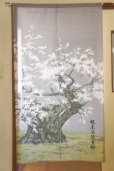 Photo1: Noren CSMO Japanese door curtain Neodani-uzumizakura 85 x 150cm (1)