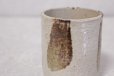 Photo5: Shigaraki pottery Japanese tea cups irori yunomi set of 2