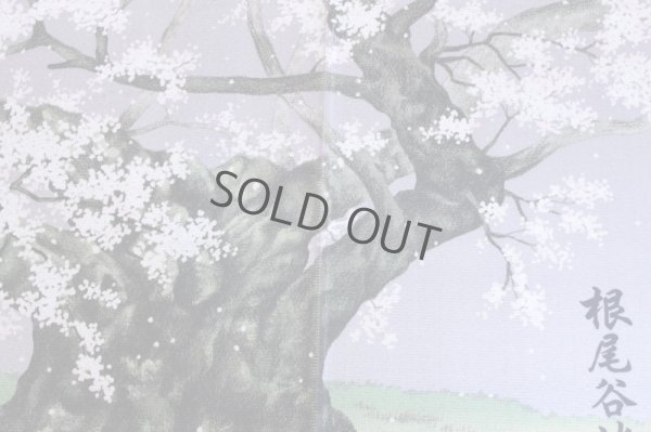 Photo5: Noren CSMO Japanese door curtain Neodani-uzumizakura 85 x 150cm