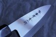 Photo7: SAKAI TAKAYUKI Japanese knife Aonikou Yasuki Blue-2 Steel Ebony wood Deba knife