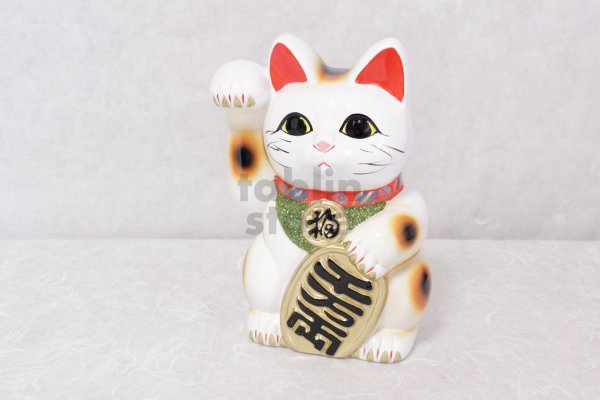 Photo7: Japanese Lucky Cat Tokoname ware YT Porcelain Maneki Neko koban right hand H23cm