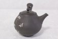 Photo5: Tokoname Japanese tea pot kyusu YT black butterfly sakura Seiho 180ml