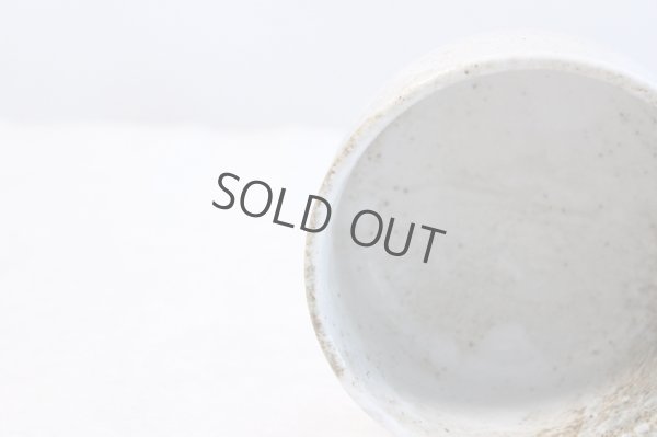 Photo6: Mino ware tea bowl Yukishino chawan Matcha Green Tea Japanese