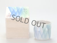 Kutani Porcelain yunomi tea cup pottery tumbler yusai hanakutani 280ml