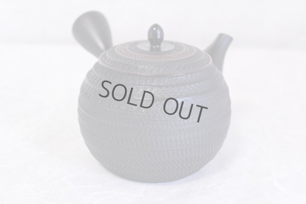 Photo4: Tokoname ware Japanese tea pot kyusu ceramic strainer sendan Gyokko 470ml