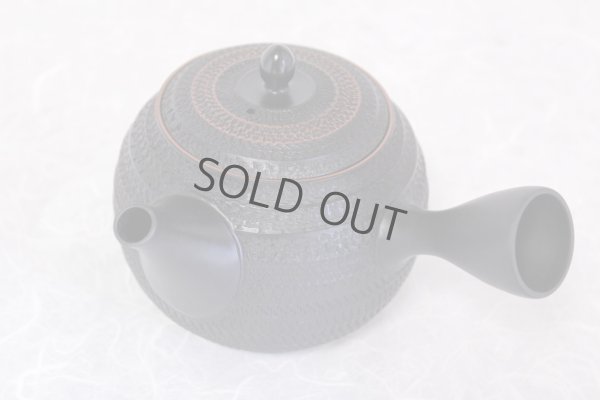 Photo3: Tokoname ware Japanese tea pot kyusu ceramic strainer sendan Gyokko 470ml